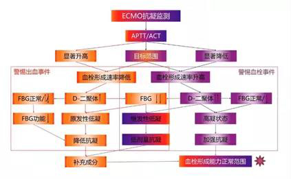 ECMO(專題一)(圖2) ECMO(專題一)(圖2)